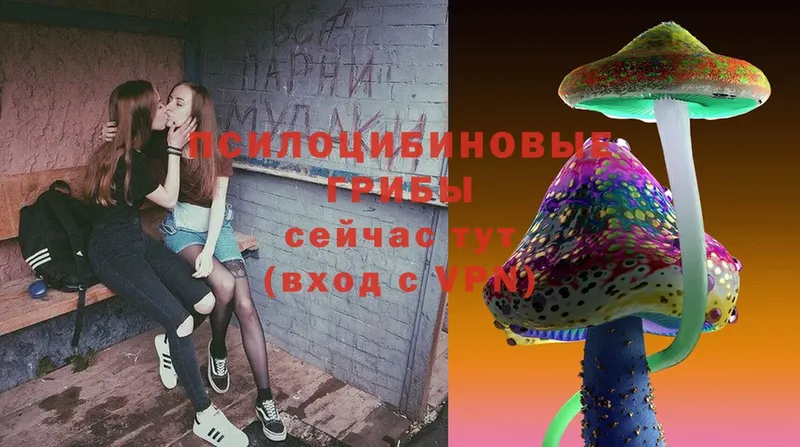 Псилоцибиновые грибы Magic Shrooms  Вятские Поляны 